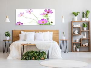 Obraz skleněný květ fialová kopretina na zelených stoncích - 30 x 60 cm