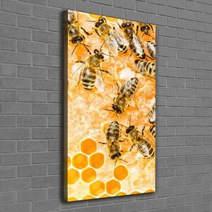 Vertikální Foto obraz na plátně Pracující včely ocv-74378590