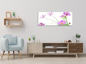Obraz skleněný květ fialová kopretina na zelených stoncích - 70 x 100 cm