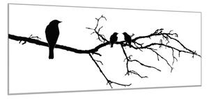 Obraz skleněný silueta ptáků na větvi - 70 x 100 cm
