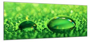 Obraz skleněný kapka vody na zeleném skle - 60 x 90 cm