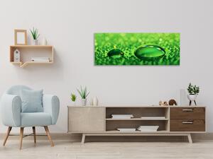 Obraz skleněný kapka vody na zeleném skle - 50 x 100 cm