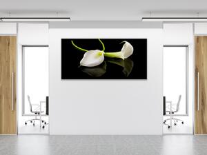 Obraz skleněný bílá kala na černém pozadí - 30 x 60 cm