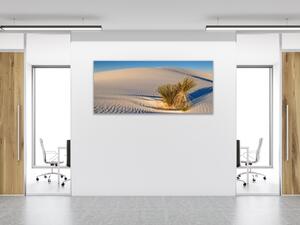 Obraz skleněný tráva v bílé písečné duně - 30 x 60 cm