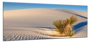 Obraz skleněný tráva v bílé písečné duně - 60 x 90 cm