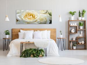Obraz skleněný detail květy bílé růže - 30 x 60 cm