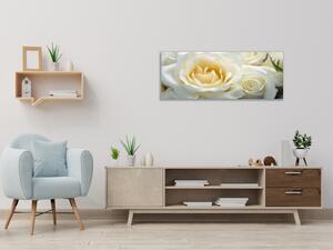 Obraz skleněný detail květy bílé růže - 30 x 60 cm
