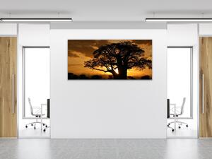Obraz skleněný západ slunce Afrika Tanzanie - 50 x 100 cm