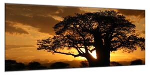 Obraz skleněný západ slunce Afrika Tanzanie - 40 x 60 cm