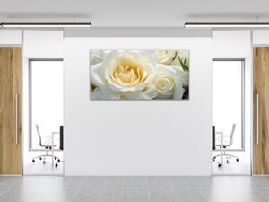 Obraz skleněný detail květy bílé růže - 40 x 60 cm