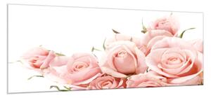 Obraz skleněný květy růžové růže - 100 x 150 cm