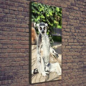 Vertikální Foto obraz tištěný na plátně Lemur ocv-75982744