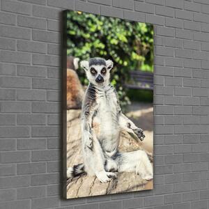 Vertikální Foto obraz tištěný na plátně Lemur ocv-75982744