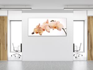 Obraz skleněný květy losová orchidej - 30 x 60 cm