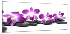Obraz skleněný květy fialová orchidej a kámen - 52 x 60 cm