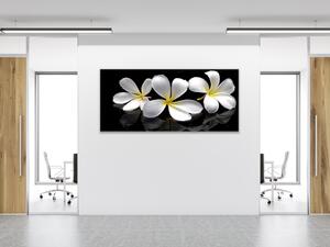 Obraz skleněný bílý květ plumerie - 30 x 60 cm