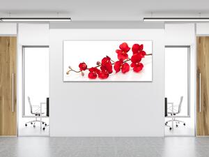 Obraz skleněný květy červená orchidej - 30 x 60 cm