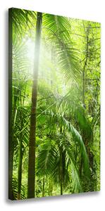 Vertikální Foto obraz na plátně Deštný prales ocv-76332675