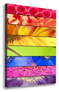 Vertikální Foto obraz na plátně Barevné květiny ocv-76360035