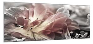 Obraz skleněný abstrakt květ tulipánu z blízka - 100 x 150 cm