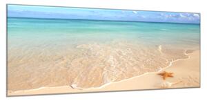 Obraz skleněný mořská hvězdice na pláži - 30 x 40 cm