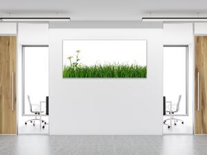 Obraz skleněný tráva s květem kopretiny - 30 x 60 cm