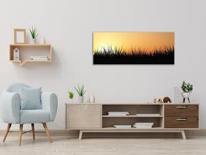 Obraz skleněný tráva v západu slunce - 30 x 60 cm