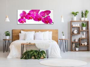 Obraz skleněný květ tyrkysově růžové orchideje - 30 x 60 cm
