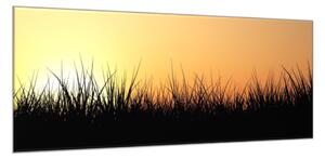 Obraz skleněný tráva v západu slunce - 40 x 60 cm