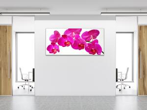 Obraz skleněný květ tyrkysově růžové orchideje - 50 x 100 cm