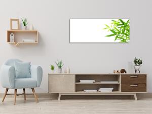 Obraz skleněný drobné bambusové listí na bílém podkladu - 50 x 70 cm