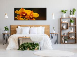Obraz skleněný oranžový květ orchideje na hnědém pozadí - 30 x 60 cm