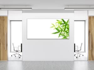 Obraz skleněný drobné bambusové listí na bílém podkladu - 30 x 60 cm