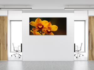 Obraz skleněný oranžový květ orchideje na hnědém pozadí - 60 x 90 cm