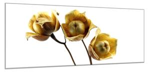 Obraz skleněný květ dřevěné růže - 50 x 100 cm