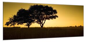 Obraz skleněný západ slunce na vsi - 30 x 60 cm