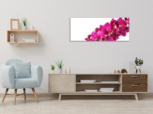 Obraz skleněný mnoho květů tyrkysově růžové orchideje - 30 x 60 cm
