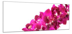 Obraz skleněný mnoho květů tyrkysově růžové orchideje - 40 x 60 cm