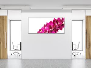Obraz skleněný mnoho květů tyrkysově růžové orchideje - 100 x 150 cm