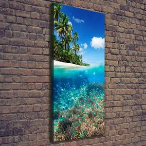 Vertikální Foto obraz na plátně Korálový útes ocv-78236057