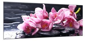 Obraz skleněný fialové květy orchideje na oblázcích kamenech - 50 x 100 cm