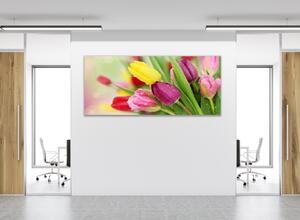 Obraz skleněný krásné květy barevné tulipány - 30 x 60 cm