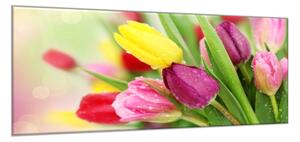Obraz skleněný krásné květy barevné tulipány - 70 x 100 cm