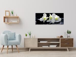 Obraz skleněný květy bílá orchidej na černém kameni - 30 x 60 cm