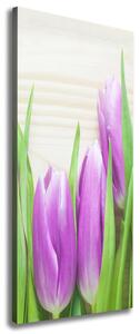 Vertikální Foto obraz na plátně Fialové tulipány ocv-78755149