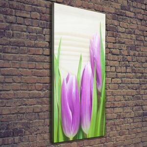 Vertikální Foto obraz na plátně Fialové tulipány ocv-78755149