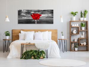 Obraz skleněný květ červené růže na šedém pozadí - 60 x 90 cm