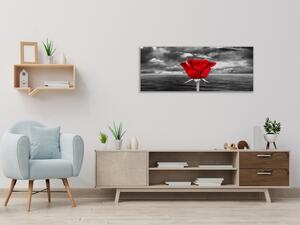 Obraz skleněný květ červené růže na šedém pozadí - 60 x 90 cm