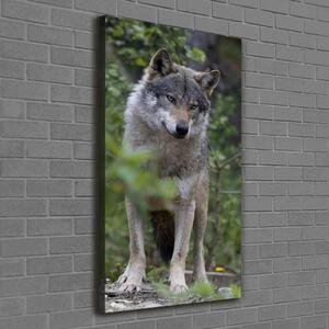 Vertikální Foto obraz canvas Vlk v lese ocv-79173731