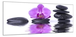 Obraz skleněný květ fialová orchidej na hladině vody s kameny - 60 x 90 cm